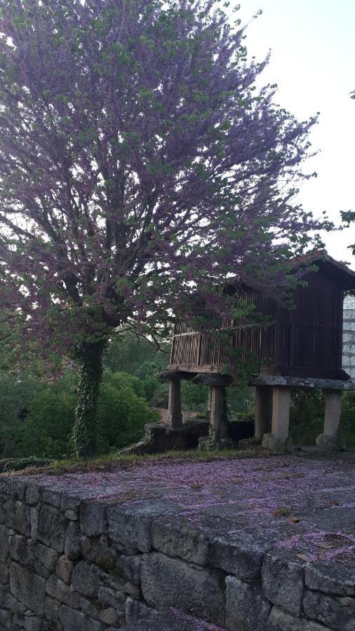 Casa Rural Torre Lombarda Allariz Exterior photo
